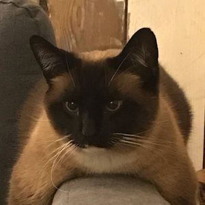 Meet your Posher, James